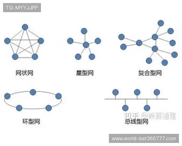 365备用网址线路有哪些优势？为您解析各种线路的区别与优缺点